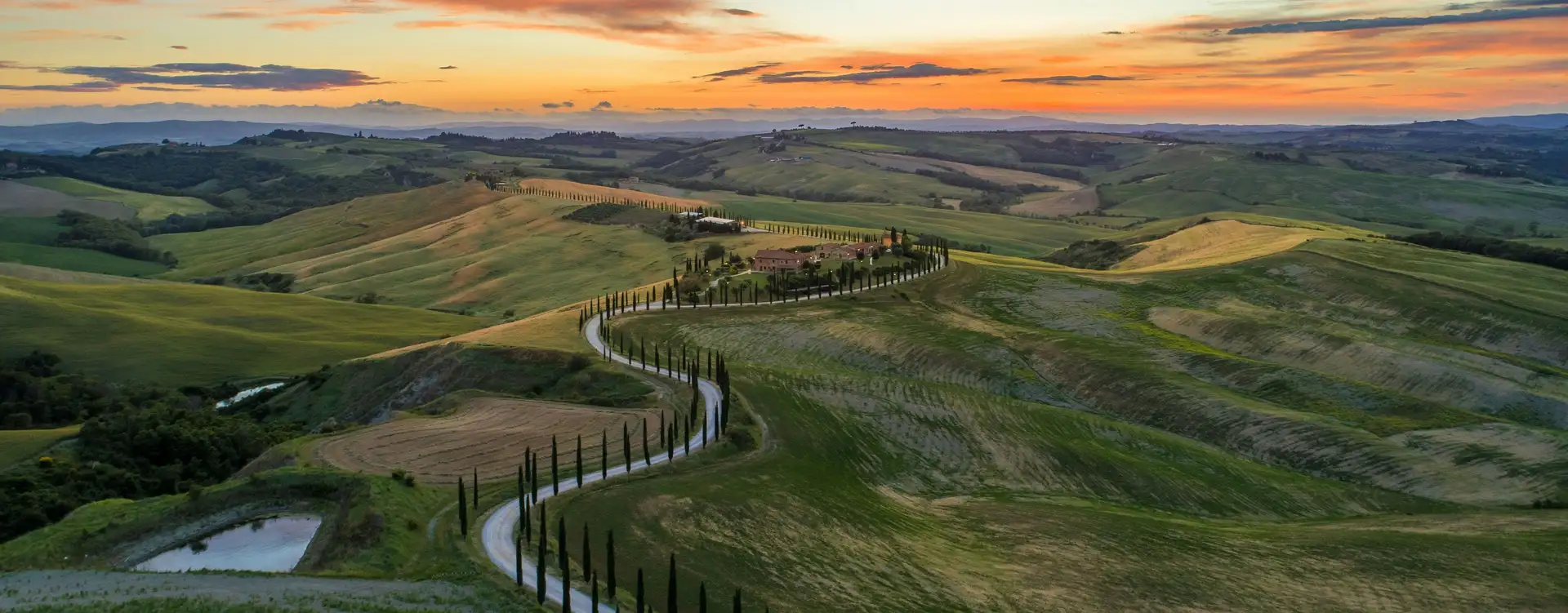 A winding road lined with poplars at sunset.